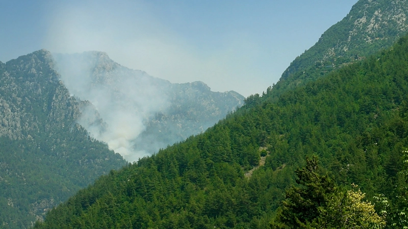 KI verbessert die Vorhersage und Prävention von Waldbränden, schützt die Natur und sichert Leben