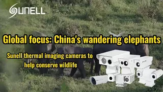 Sunell Wärmebildkameras zum Schutz der Tierwelt